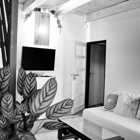 Apartmany Ztracena โรด์นิเช นาด ลาเบม ภายนอก รูปภาพ