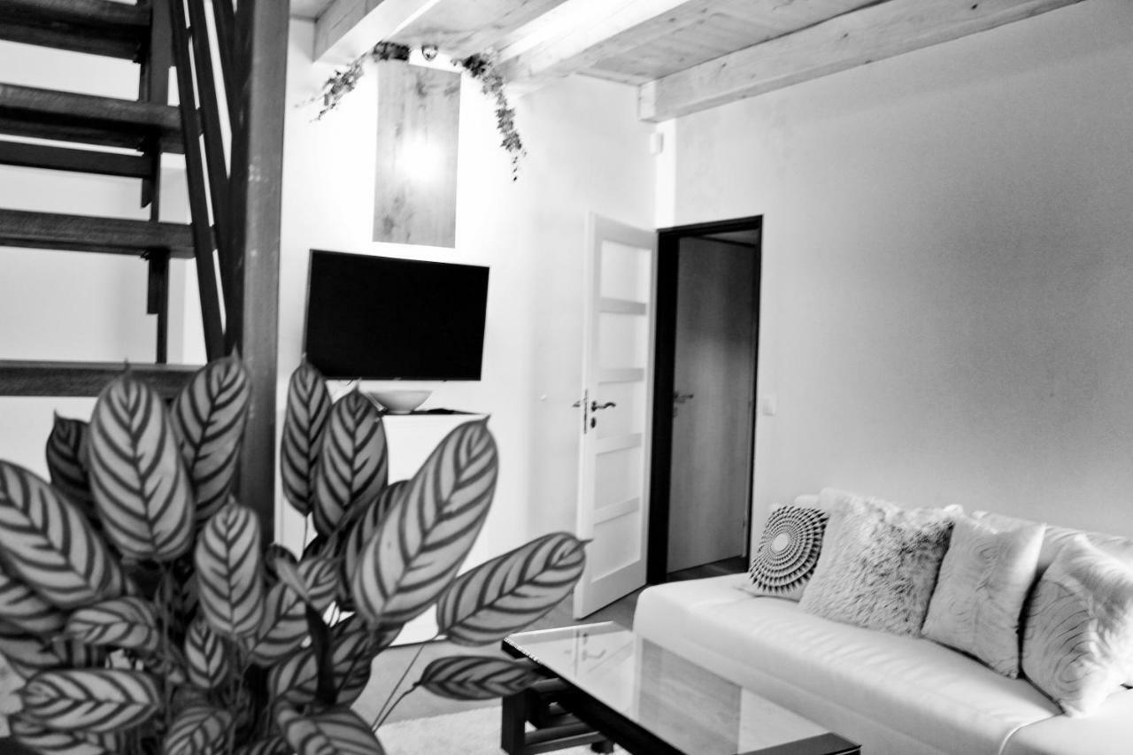 Apartmany Ztracena โรด์นิเช นาด ลาเบม ภายนอก รูปภาพ