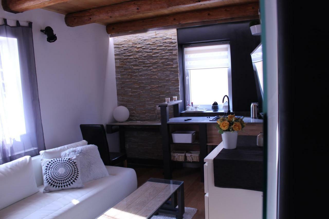 Apartmany Ztracena โรด์นิเช นาด ลาเบม ภายนอก รูปภาพ
