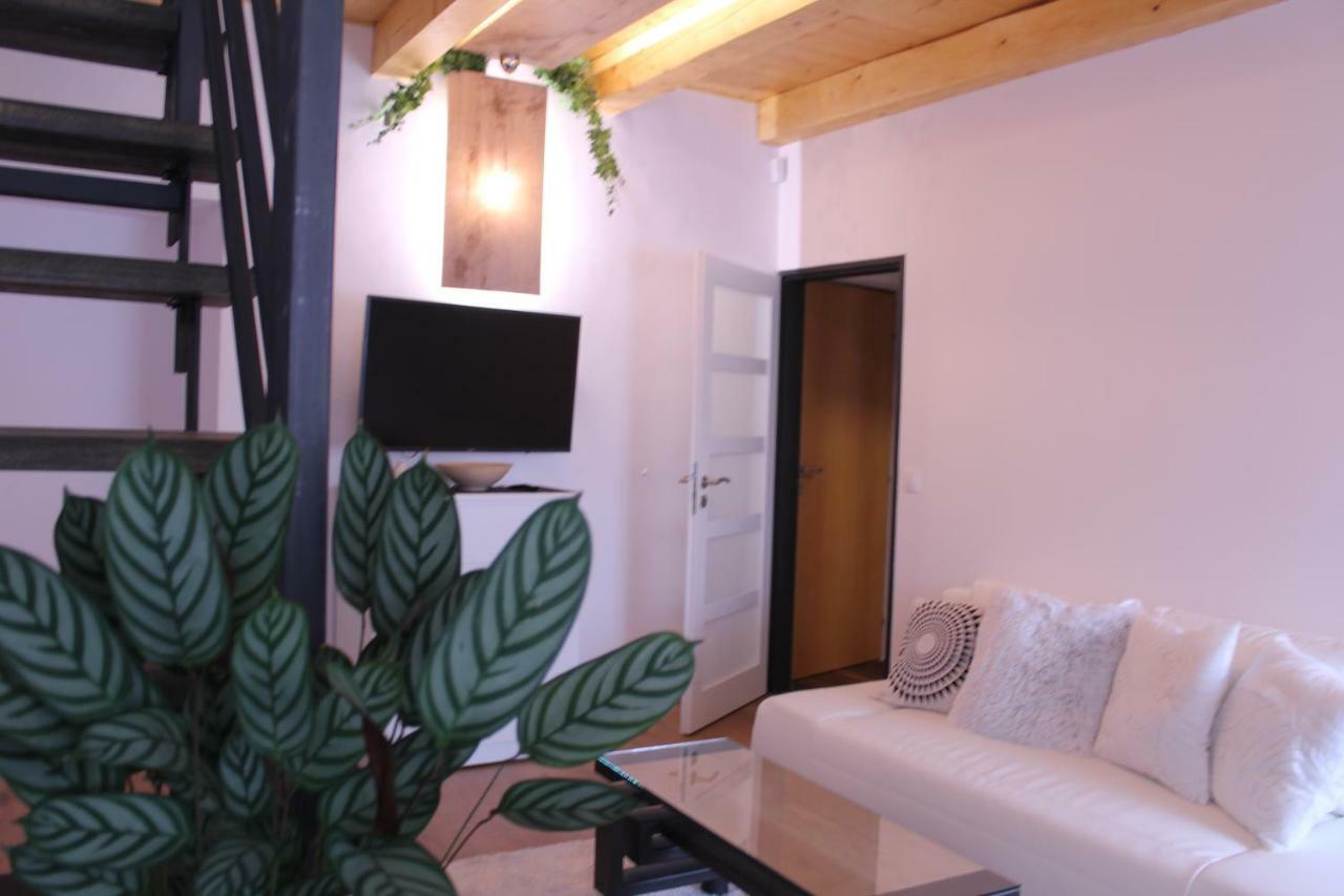 Apartmany Ztracena โรด์นิเช นาด ลาเบม ภายนอก รูปภาพ